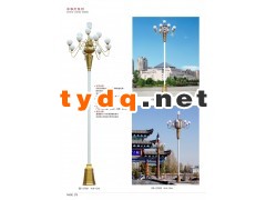 专业生产中华灯厂家 8叉9火庭院广场景观中华灯图3