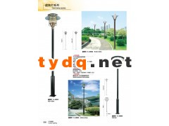 长期供应小区公园广场庭院灯LED中杆灯异形杆景观灯图3