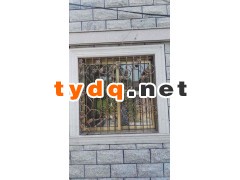 常熟铁艺防盗窗厂家图2
